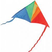 Drak létající nylon delta 45x25cm barevný