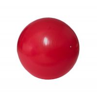 Gymnastický míč 55cm rehabilitační relaxační