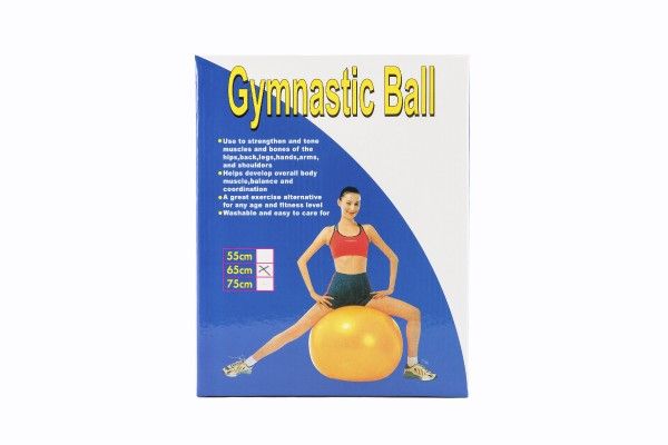 Gymnastický míč 65cm rehabilitační relaxační