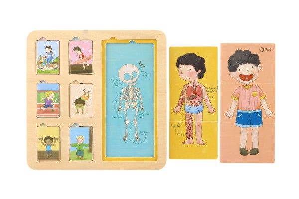 Puzzle deskové dřevěné lidské tělo/sport 12m+